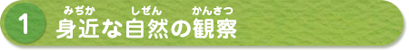 (1)身近な自然の観察